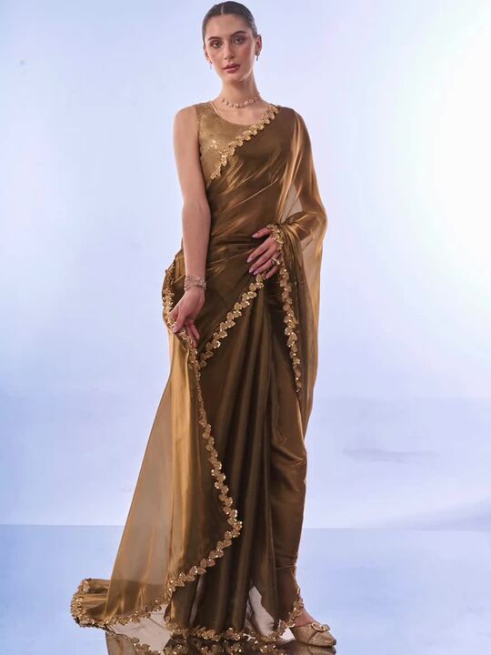 Sequinned Organza Saree