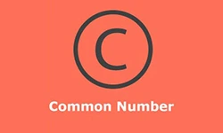 night-teer-common-number