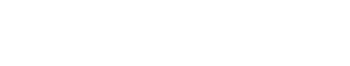 Shillong Night Teer Official Logo